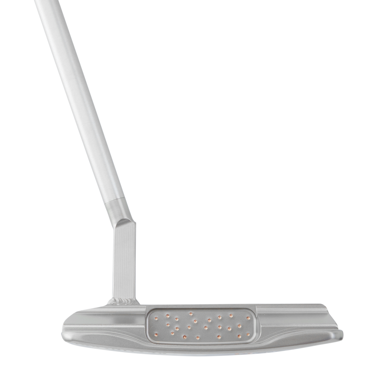 Poison Wizard DASS SS28 Welded Slant Neck Putter Bettinardi Golf Studio B