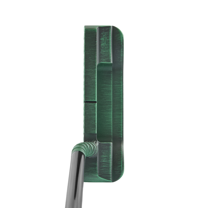 Halloween Money Eyes Wizard Distressed Green Armor DASS BB0 1-of-1 Putter