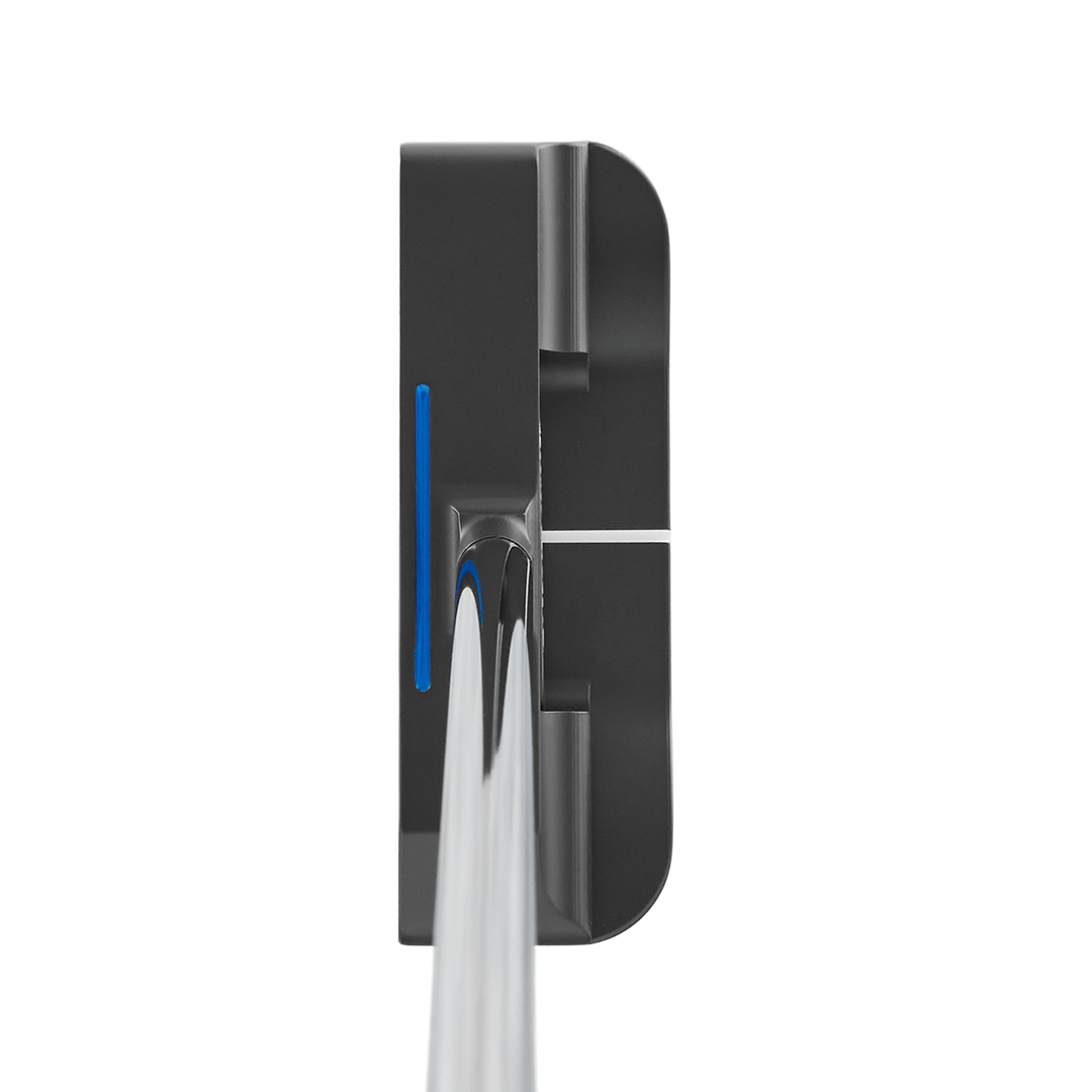 Detroit Lions "One Pride" Antidote SB1 Putter