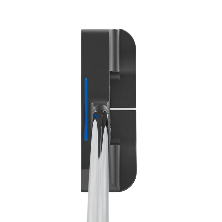 Detroit Lions "One Pride" Antidote SB1 Putter