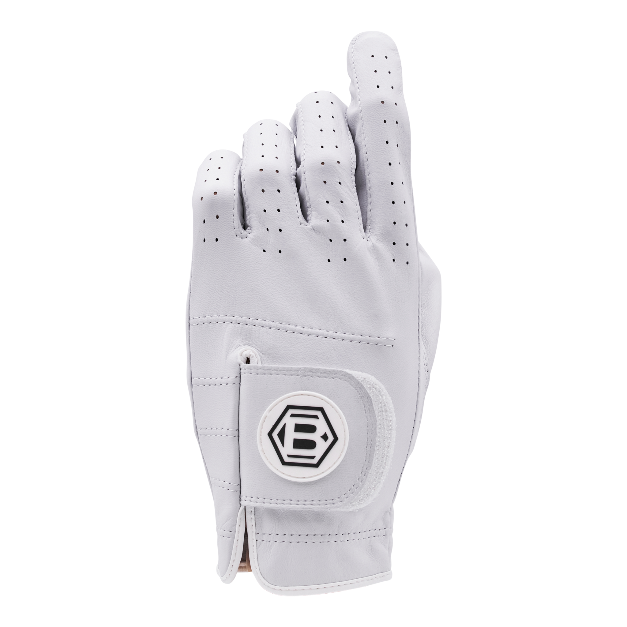 Hex B Premium Golf Glove - Left Hand (For Righties) - back