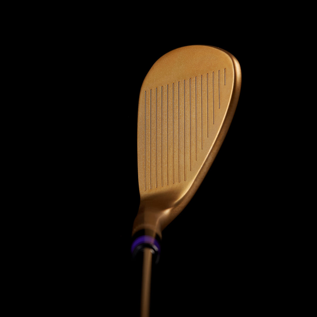 T-HivePurpleBlack-2_1080x.jpg?